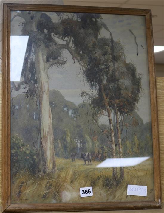 Gustav Adrian Barnes (1877-1921) Australian woodland 19 x 14in.